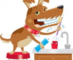 SALUD DENTAL