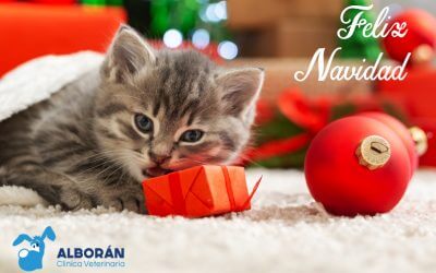 ¡Feliz Navidad y Próspero Año Nuevo!