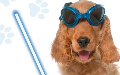 Campaña Laserterapia 2020: protección de vanguardia para tu mascota