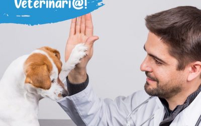 ¡Buscamos veterinario!