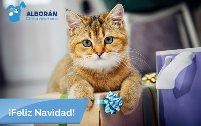 Felices Fiestas y Próspero Año Nuevo