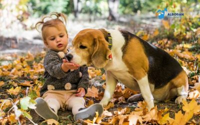 Alergias estacionales en otoño: cómo afectan a perros y gatos y qué hacer al respecto