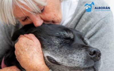 Chequeo sénior: cuidar la salud de tu compañero en su etapa madura