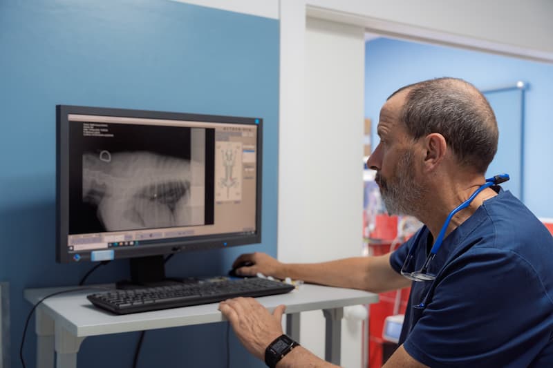 Clinica Veterinaria en Aguadulce