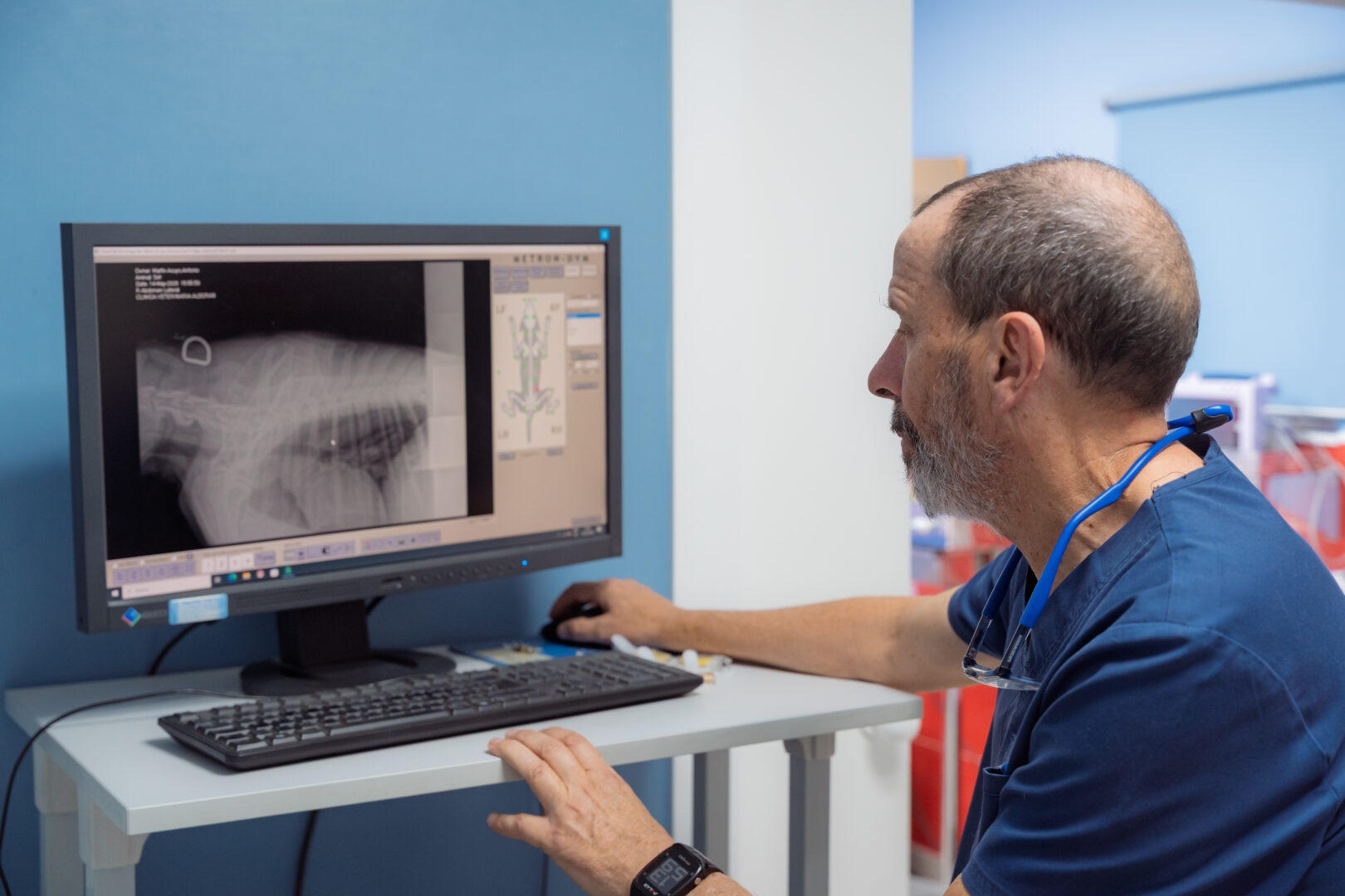 diagnostico veterinario
